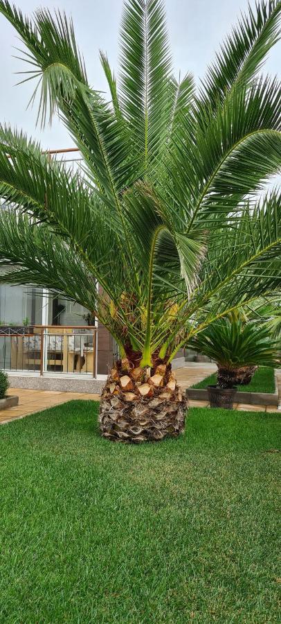 Villa Avdira Paralia Avdhiron Zewnętrze zdjęcie